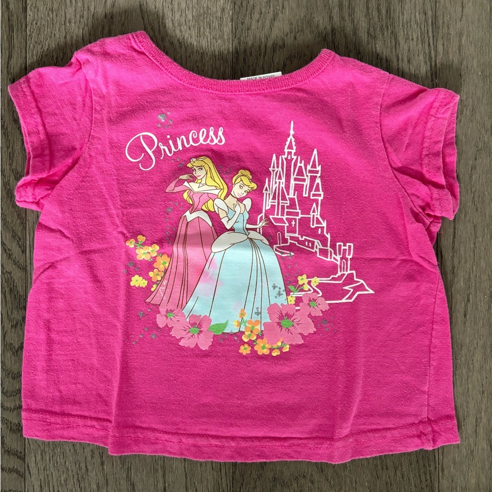 Disney Princess Sleeping Beauty and Cinderella Tee